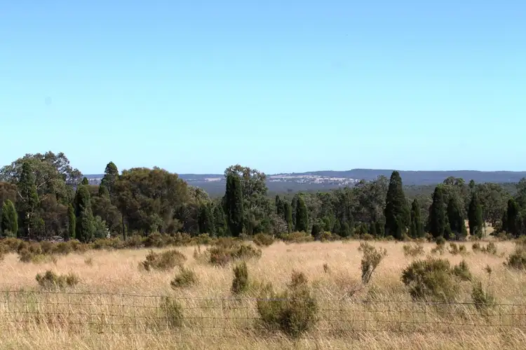Fourth view of Homely rural property listing, 797 Ridge Rd, Mudgee NSW 2850