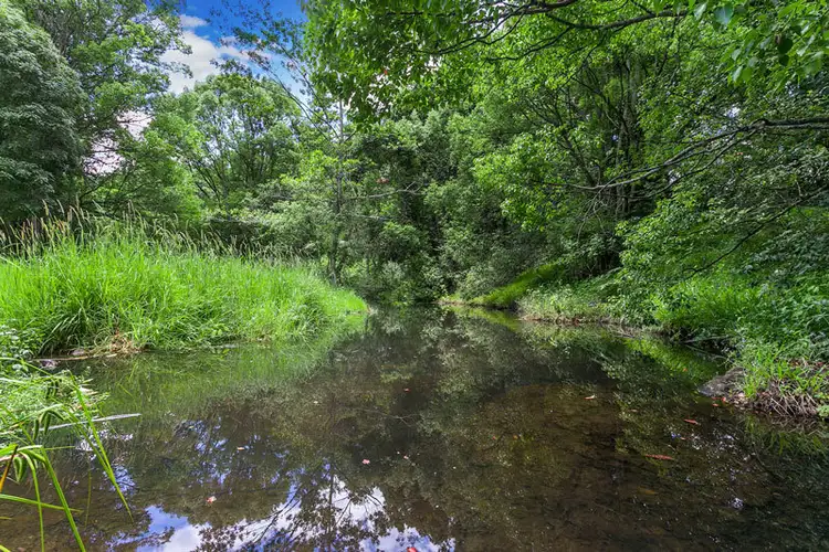 Seventh view of Homely rural property listing, Address available on request