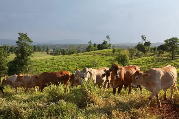 Main view of Homely rural property listing, Address available on request