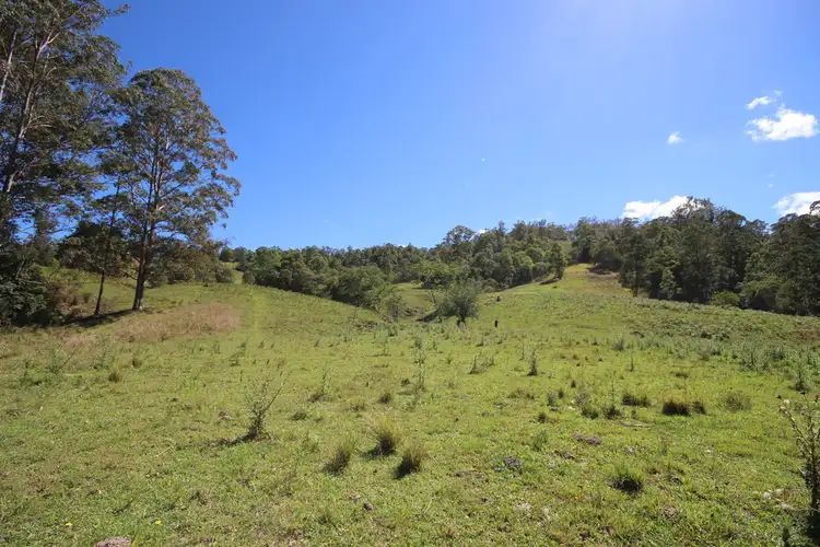 Third view of Homely rural property listing, Lot 133 Forbes River Road, Birdwood NSW 2446