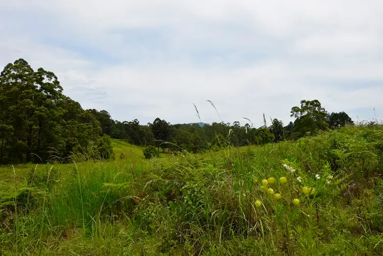 Third view of Homely land listing, 126 Gabal Road, Nimbin NSW 2480