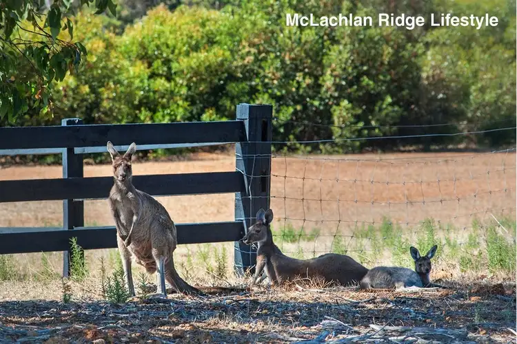 Sixth view of Homely land listing, 117 Kinross Loop, Quindalup WA 6281