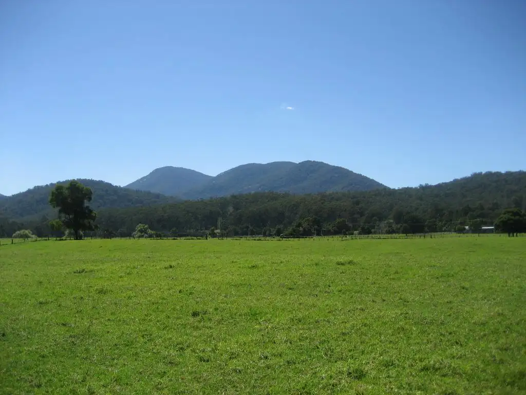 Main view of Homely rural property listing, 1615 Monaro Highway, Noorinbee VIC 3890