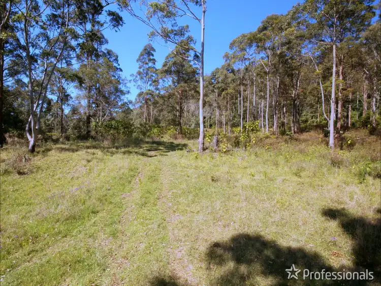 Sixth view of Homely land listing, 905F Main Western Road, Tamborine Mountain QLD 4272