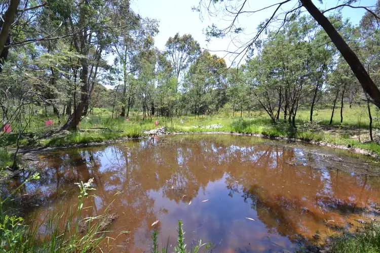 Seventh view of Homely rural property listing, 3363 Hill End Road, Mudgee NSW 2850