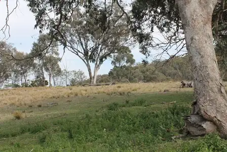 Main view of Homely rural property listing, 1972 Triamble Road, Mudgee NSW 2850