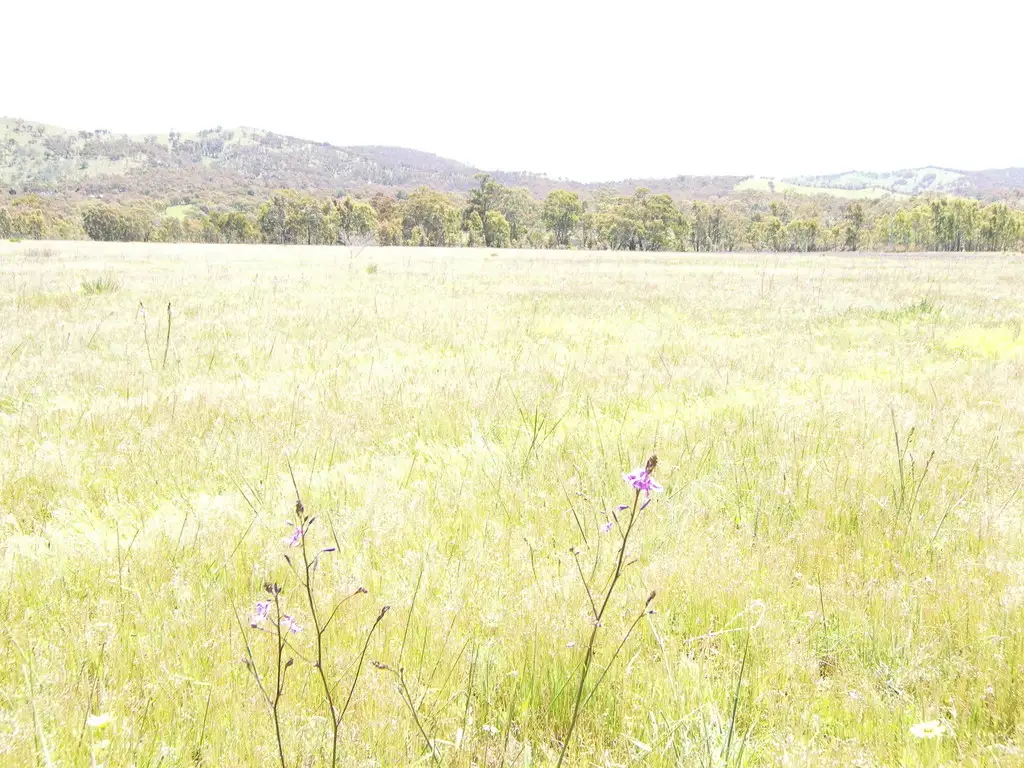 Main view of Homely rural property listing, c/a 47 & 48 Stawell-Avoca rd, Moonambel VIC 3478