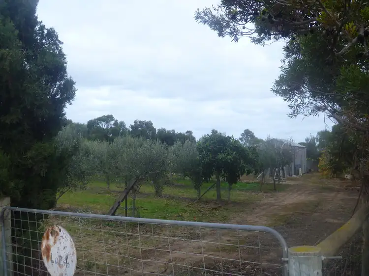 Second view of Homely land listing, 7 Williams Road, Two Wells SA 5501