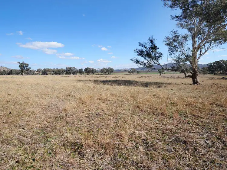 Sixth view of Homely rural property listing, 313 Magpie Lane, Gulgong NSW 2852