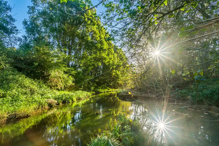 Fifth view of Homely rural property listing, 851 Bangalow Road, Talofa NSW 2481