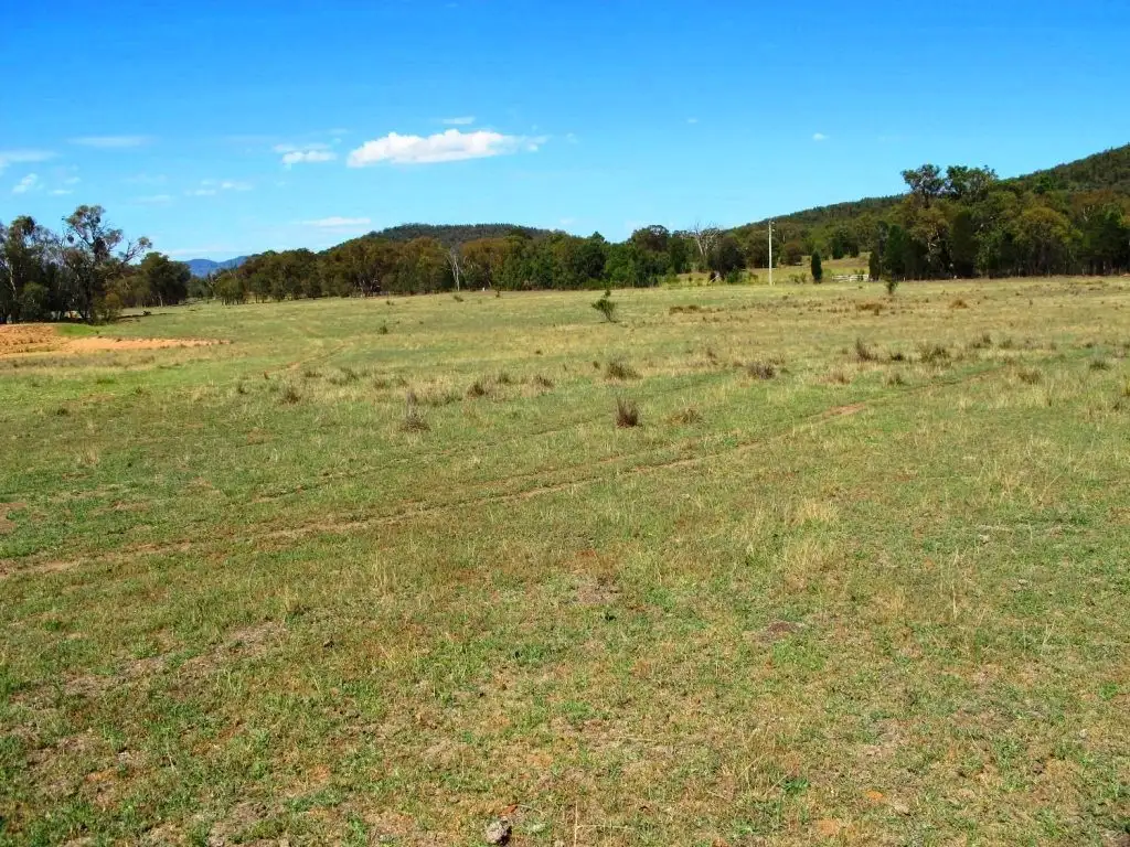 Main view of Homely rural property listing, 502 Black Springs Road, Mudgee NSW 2850