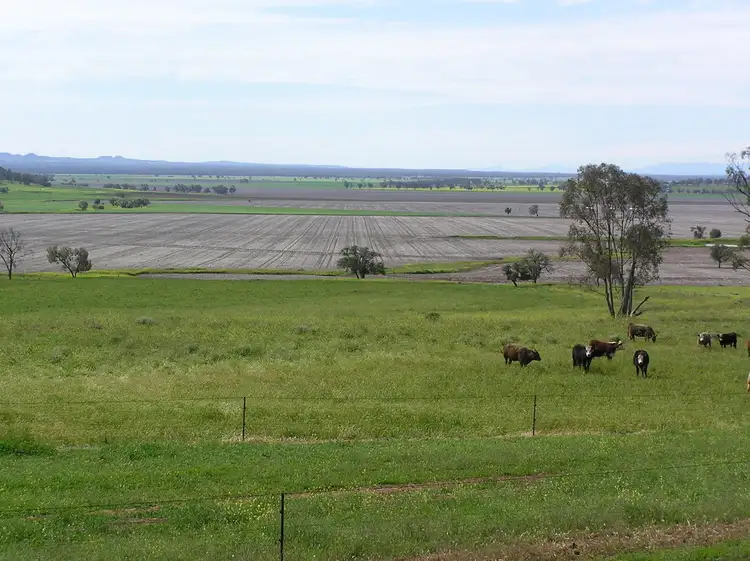 Seventh view of Homely rural property listing, ''Caradoc Park", Mullaley NSW 2379