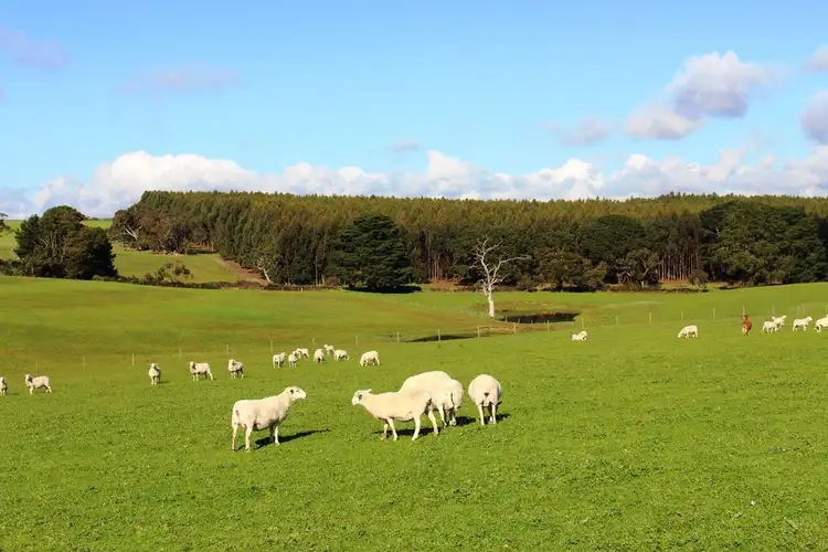Seventh view of Homely rural property listing, A 22 Lanacoona Road, Mount Compass SA 5210