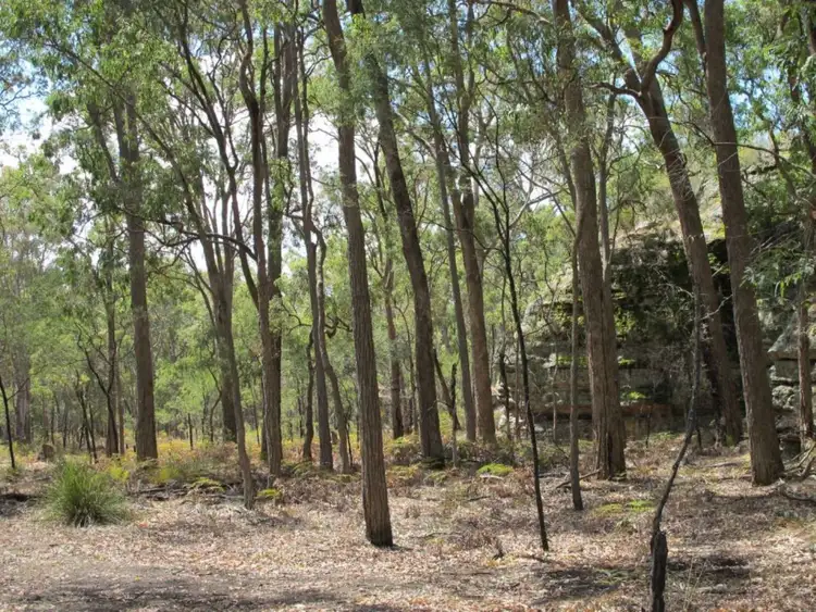 Second view of Homely rural property listing, 255 MacArthur Park Road, Mudgee NSW 2850