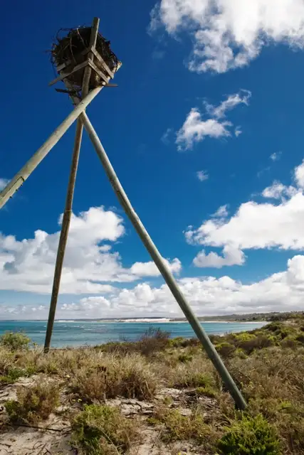 Main view of Homely land listing, 28 Swell Terrace, Glenfield WA 6532