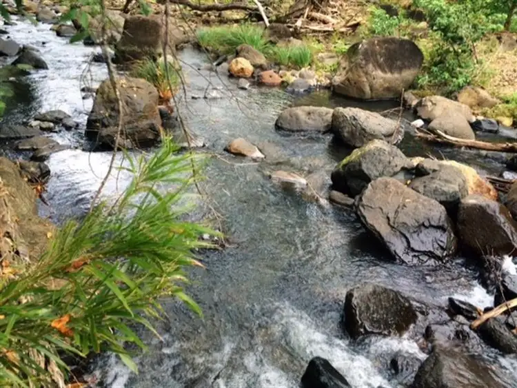 Fifth view of Homely rural property listing, 496 Gungas Road, Nimbin NSW 2480