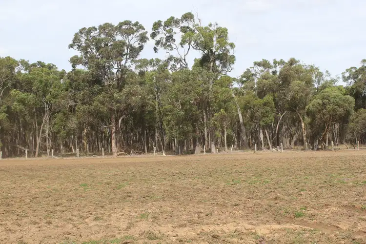 Fourth view of Homely rural property listing, Lot 819 Halsey Road, Mount Barker WA 6324