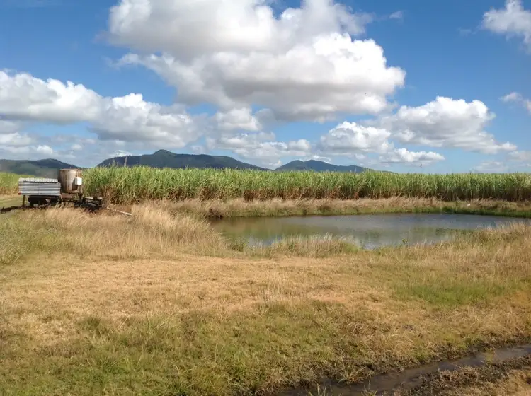 Seventh view of Homely rural property listing, 1000 Six mile road, Proserpine QLD 4800