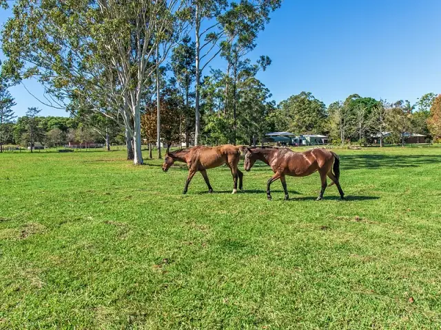 Sixth view of Homely house listing, 45 London Creek Road, Peachester QLD 4519