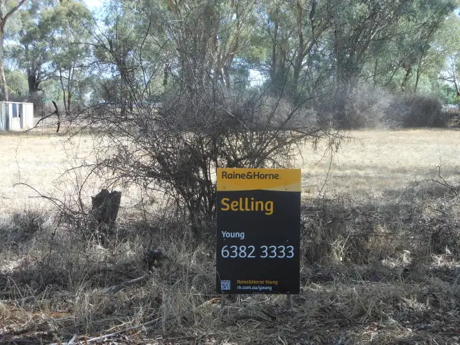Third view of Homely land listing, 36 Crowther, Koorawatha NSW 2807