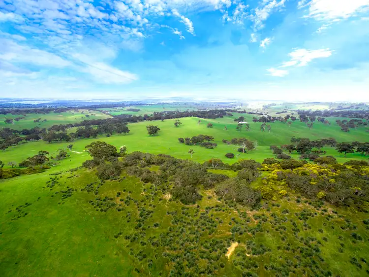 Seventh view of Homely rural property listing, A527 Dog Trap Road, Strathalbyn SA 5255