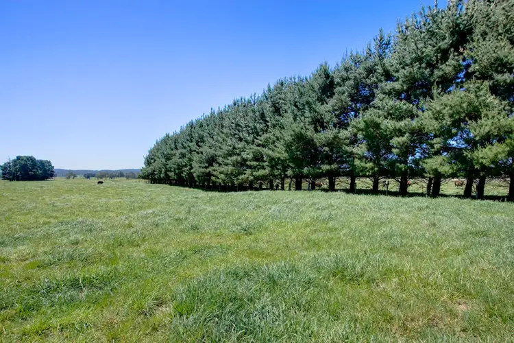 Seventh view of Homely rural property listing, "Kilwinning" Headlam Road, Moss Vale NSW 2577