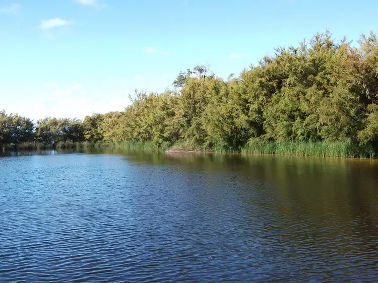 Lot 9777 Appadene Road, Manjimup WA 6258