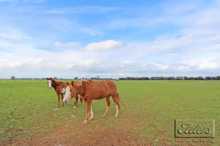 Seventh view of Homely house listing, 432 Foster Road, Rochester VIC 3561