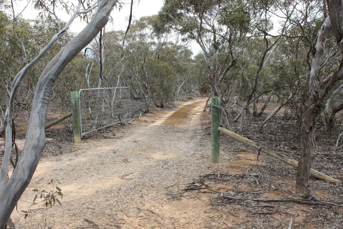 Main view of Homely rural property listing, Section 457 Murraylands Road, Walker Flat SA 5238