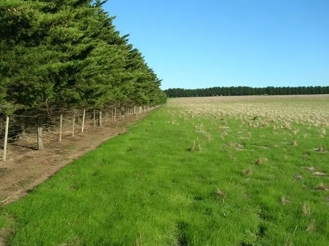 Sixth view of Homely rural property listing, 21 Mt Pollock Road, Gnarwarre VIC 3221
