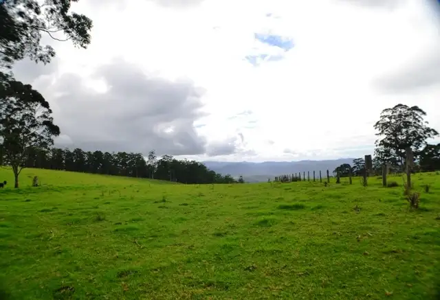 Second view of Homely rural property listing, Lot 107 Costigans Road, Yarras NSW 2446