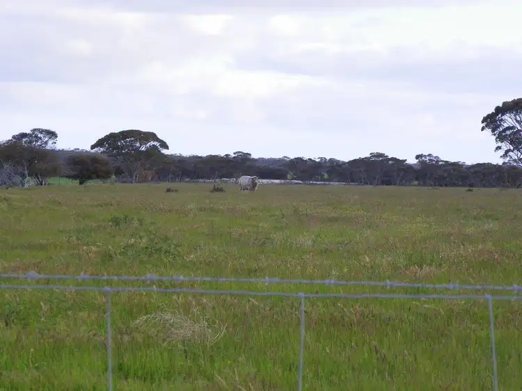 Seventh view of Homely rural property listing, 'Tyandra' 3000 Rabbit Proof Fence Road, Pingrup WA 6343