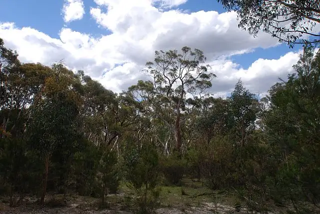 Second view of Homely land listing, Lot 1 Bumballa Road, Tallong NSW 2579