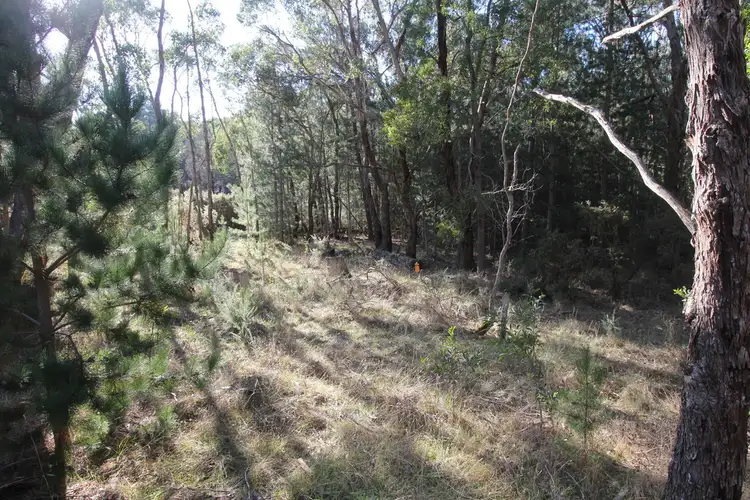 Third view of Homely land listing, Lot 4 Glenelg Highway, Scarsdale VIC 3351