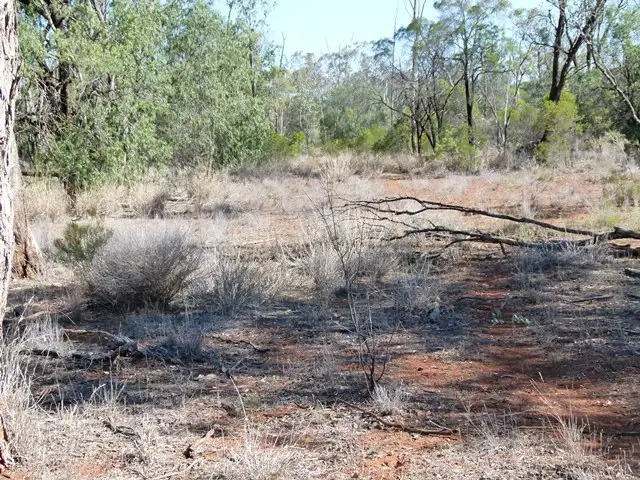 Main view of Homely rural property listing, 10 Daymar Rd, Thallon QLD 4497
