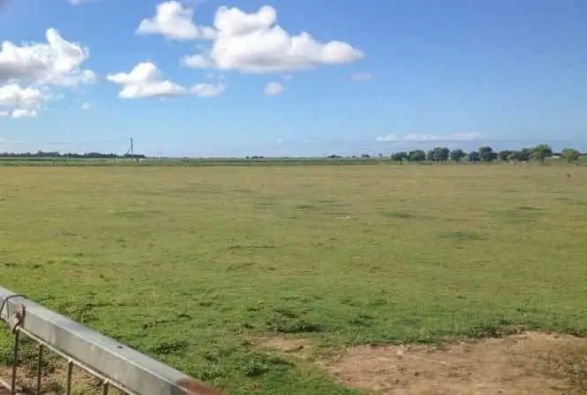 Main view of Homely rural property listing, 39 Paynes Road, Alloway QLD 4670