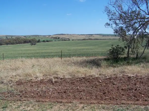 Fourth view of Homely land listing, 109 Cripps Road, Northampton WA 6535
