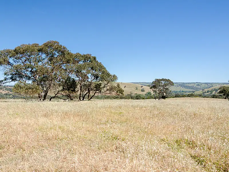 Main view of Homely rural property listing, Lot 2 / 379 Signal Flat Road, Ashbourne SA 5157