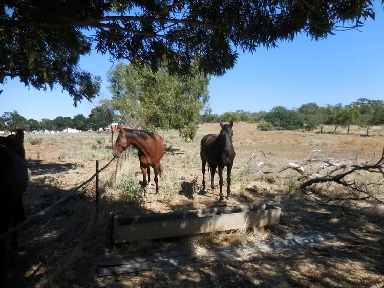 Second view of Homely land listing, Lot 1 Abattoir Road, Griffith NSW 2680
