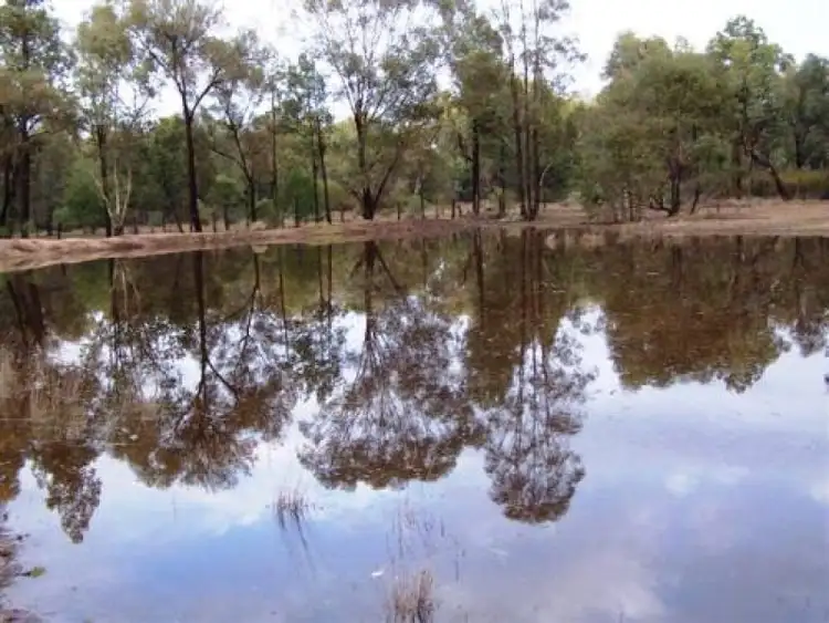 Sixth view of Homely rural property listing, MANDELSLOH 1506 Werah Creek Road, Wee Waa NSW 2388