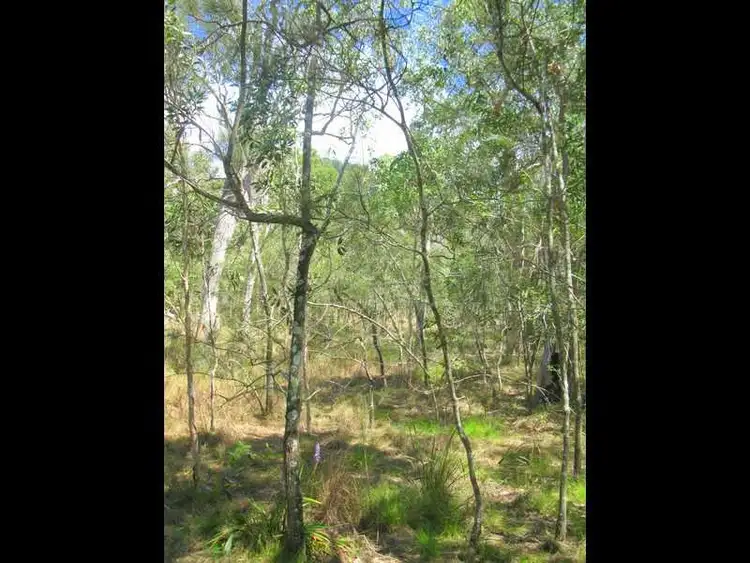 Fifth view of Homely land listing, 241 Allingham Way, Agnes Water QLD 4677