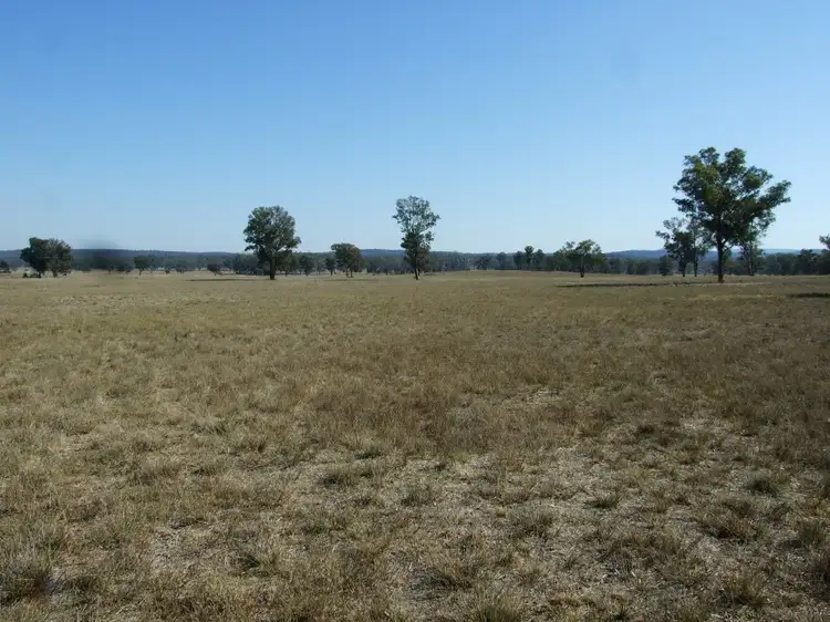 Fourth view of Homely rural property listing, Address available on request