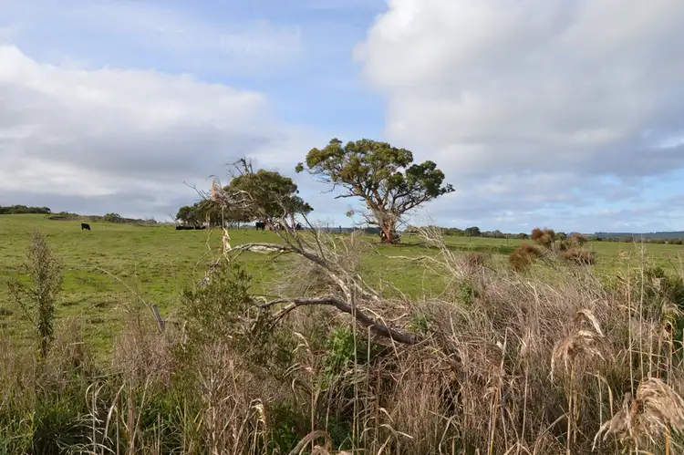 Lot 2 1550 Walkerville Road, Tarwin Lower VIC 3956