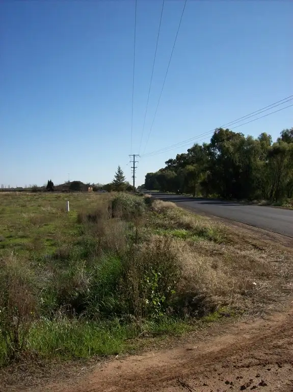 Seventh view of Homely land listing, Farm 1633-904 Corner of Thorne Road, Griffith NSW 2680