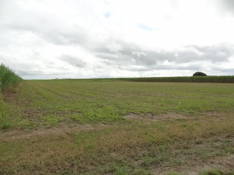Main view of Homely land listing, 139 Dunnrock Road, Chelona QLD 4740