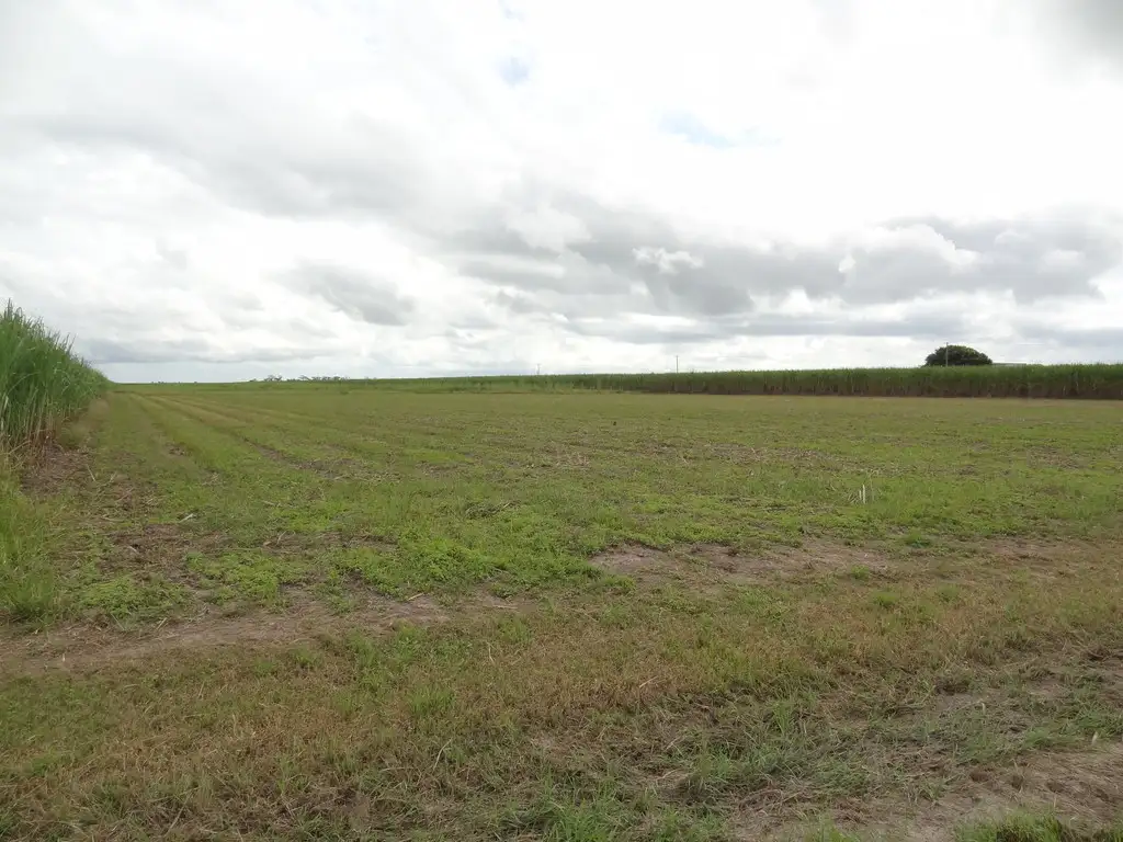 Main view of Homely land listing, 139 Dunnrock Road, Chelona QLD 4740