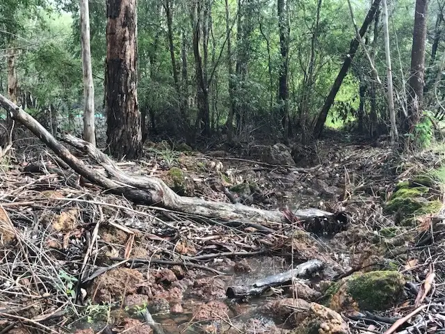 Fifth view of Homely land listing, 13 (152) Mulberry Mews, Cowaramup WA 6284