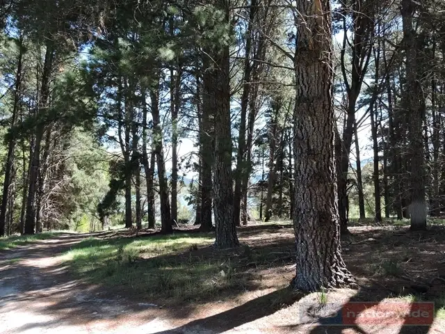 Seventh view of Homely land listing, 0 Miles Franklin Drive, Talbingo NSW 2720