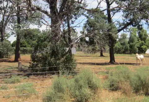 Second view of Homely land listing, 46-48 Devlin St, Matong NSW 2652