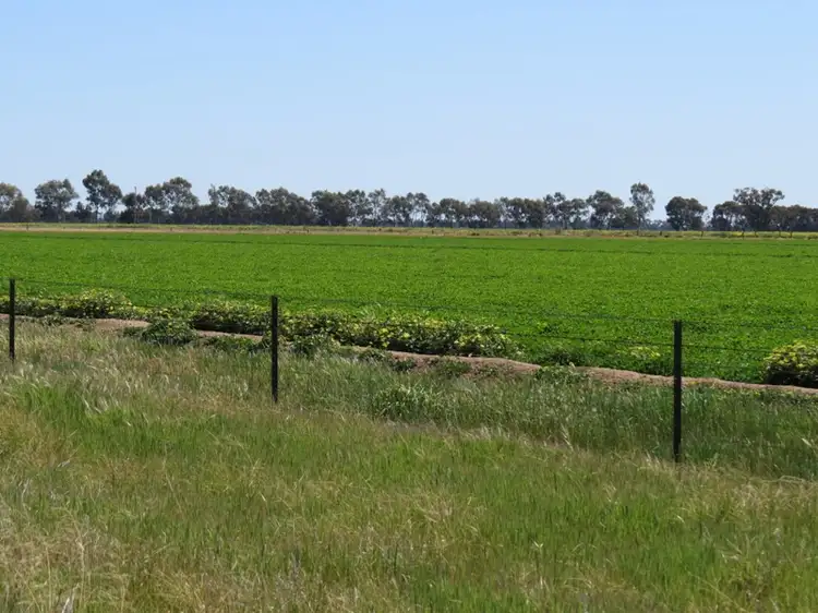 Sixth view of Homely rural property listing, 163 Holzigals Road, Finley NSW 2713
